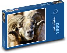 Ovce - rohy, zvíře Puzzle 1000 dílků - 60 x 46 cm