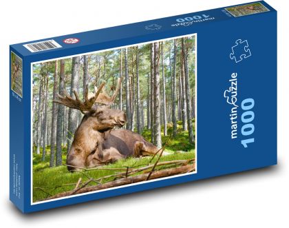 Los - parohy, Švédsko - Puzzle 1000 dielikov, rozmer 60x46 cm