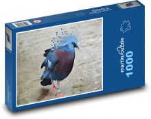 Pták - vějířový holub, zvíře Puzzle 1000 dílků - 60 x 46 cm