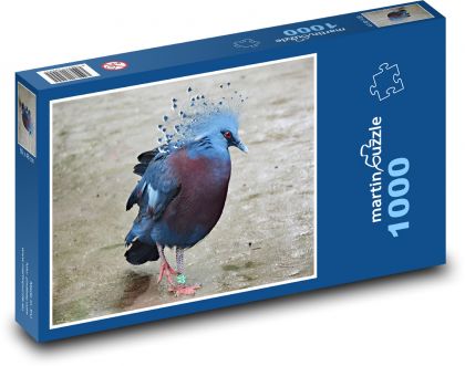 Pták - vějířový holub, zvíře - Puzzle 1000 dílků, rozměr 60x46 cm