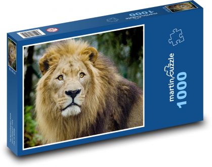 Lev - velká kočka, zvíře - Puzzle 1000 dílků, rozměr 60x46 cm