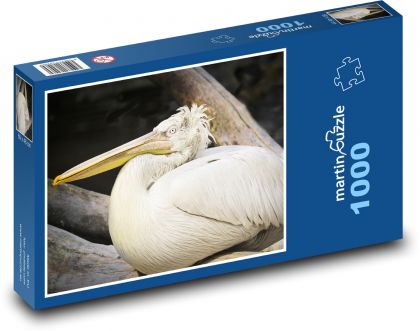 Pelican - water bird, animal - Puzzle 1000 pieces, size 60x46 cm 