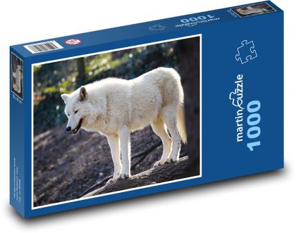 Vlk - zvíře, dravec - Puzzle 1000 dílků, rozměr 60x46 cm