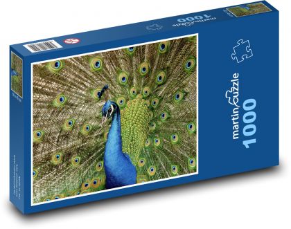 Peacock - bird, peacock feathers - Puzzle 1000 pieces, size 60x46 cm 