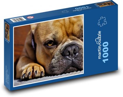 Pes - tlapka, nos - Puzzle 1000 dílků, rozměr 60x46 cm