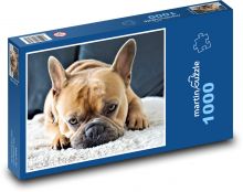 Francouzský buldoček - pes, mazlíček Puzzle 1000 dílků - 60 x 46 cm