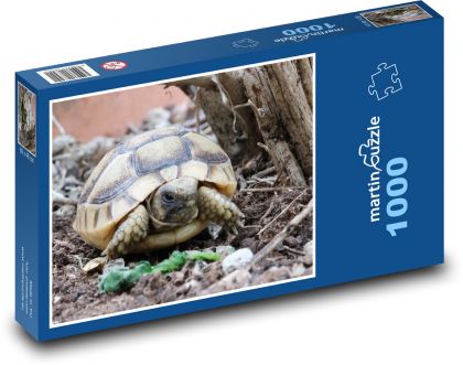 Żółw - gad, zwierzę - Puzzle 1000 elementów, rozmiar 60x46 cm