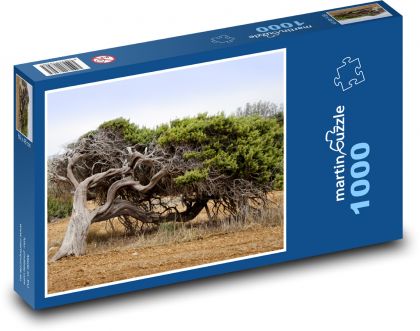 Tree - wind, landscape - Puzzle 1000 pieces, size 60x46 cm 