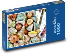 Ulity - korýši, moře Puzzle 1000 - 60x46 cm