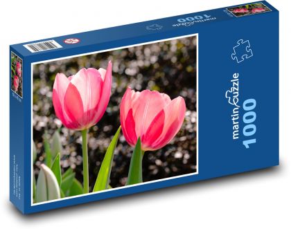 Červený tulipán - kvet, kvet - Puzzle 1000 dielikov, rozmer 60x46 cm
