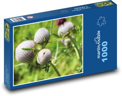 Thistle - flower, plant - Puzzle 1000 pieces, size 60x46 cm 