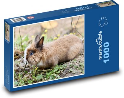 Dwarf rabbit - mammal, herbivore - Puzzle 1000 pieces, size 60x46 cm 