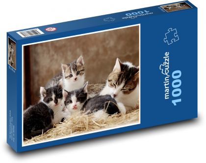 Katzenfamilie - Kätzchen, Haustiere - Puzzle - 1000 Teile