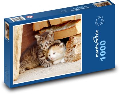 Koťátko - kotě, zvířátko - puzzle 1000 dílků