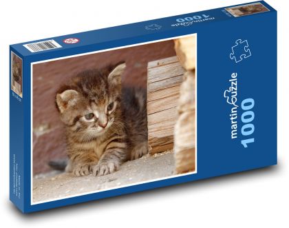 Zvědavé kotě - zvířátko, mládě - Puzzle 1000 dílků, rozměr 60x46 cm