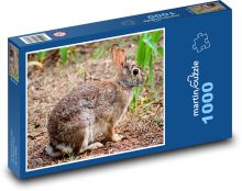 Divoký králík - králíček, zvíře Puzzle 1000 dílků - 60 x 46 cm