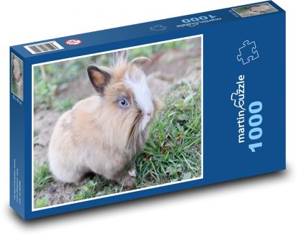 Królik krasnoludzki - zwierzę domowe, zwierzę - Puzzle 1000 elementów, rozmiar 60x46 cm