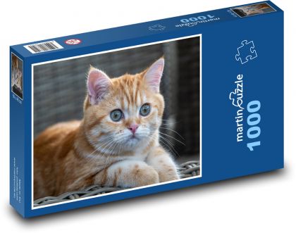 Kočka - mourek, zvíře - Puzzle 1000 dílků, rozměr 60x46 cm
