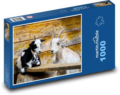 Koza - kozy, rohy - Puzzle 1000 dílků, rozměr 60x46 cm