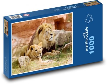 Lev - lvice, zvíře - Puzzle 1000 dílků, rozměr 60x46 cm