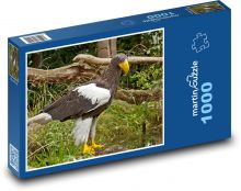 Eagle - predator, bird of prey Puzzle 1000 pieces - 60 x 46 cm
