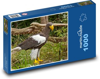 Adler - Raubtier, Raubvogel - Puzzle - 1000 Teile