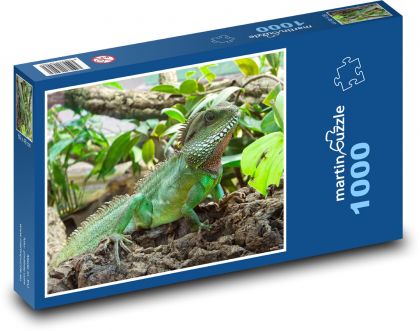 Leguan - Eidechse, Reptil - Puzzle - 1000 Teile