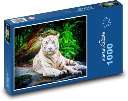 Bílý tygr - zvíře, zoo - Puzzle 1000 dílků, rozměr 60x46 cm