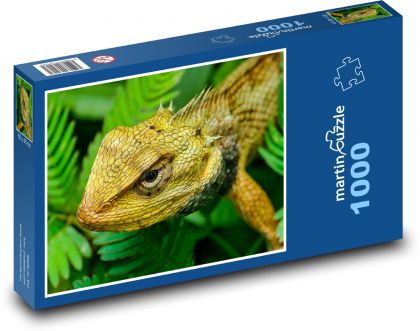 Ještěrka - plaz, zvíře - puzzle 1000 dílků