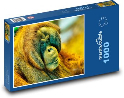 Orangutan - opice, primát - Puzzle 1000 dílků, rozměr 60x46 cm