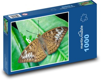 Motýl - okřídlený hmyz, křídla - Puzzle 1000 dílků, rozměr 60x46 cm