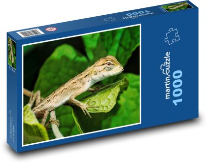 Gecko - jašterica, plaz - Puzzle 1000 dielikov, rozmer 60x46 cm