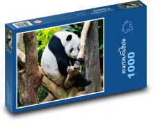 Panda - zvíře, zoo Puzzle 1000 dílků - 60 x 46 cm