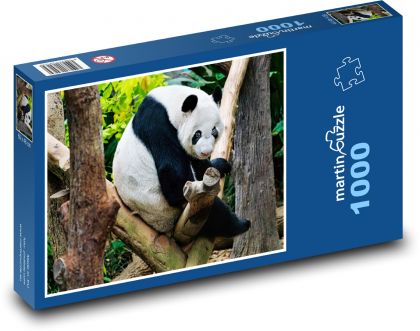 Panda - zvíře, zoo - Puzzle 1000 dílků, rozměr 60x46 cm