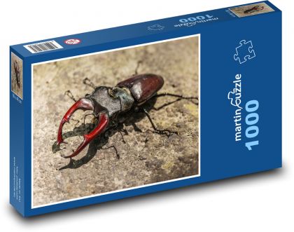 Roháč - chrząszcz, owad - Puzzle 1000 elementów, rozmiar 60x46 cm