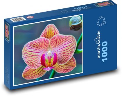 Orchidea - kvet, kvet - Puzzle 1000 dielikov, rozmer 60x46 cm