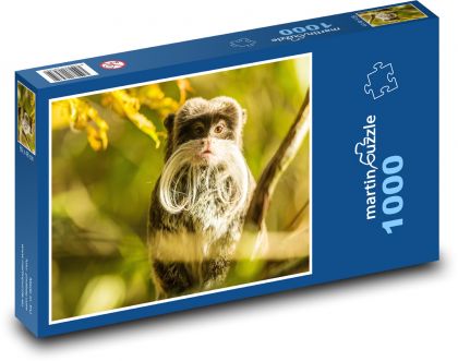 Monkey - primate, animal - Puzzle 1000 pieces, size 60x46 cm 