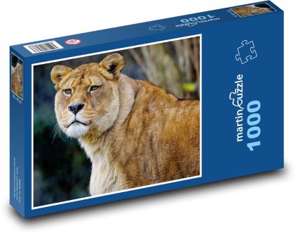 Levica - lev, dravec - Puzzle 1000 dielikov, rozmer 60x46 cm
