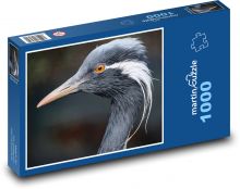 Jeřáb - zvíře, pták Puzzle 1000 dílků - 60 x 46 cm
