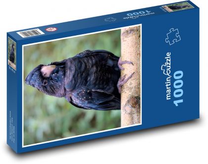 Kakadu černý - pták, zvíře - Puzzle 1000 dílků, rozměr 60x46 cm