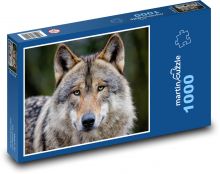 Šedý vlk - zvíře, dravec Puzzle 1000 - 60x46 cm