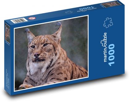 Lynx - animal, predator - Puzzle 1000 pieces, size 60x46 cm 