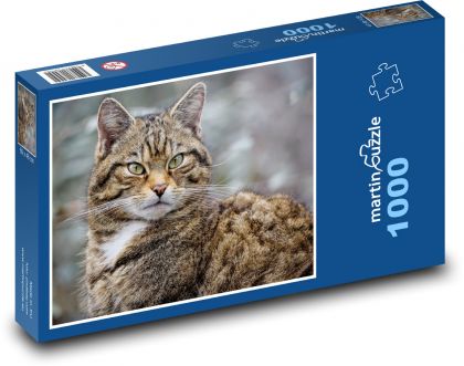 Kočka - zvíře, mazlíček - Puzzle 1000 dílků, rozměr 60x46 cm