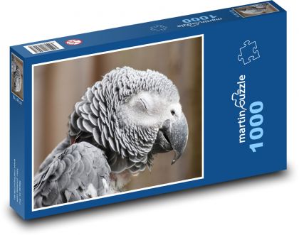 Papagáj sivý - vták, zviera - Puzzle 1000 dielikov, rozmer 60x46 cm