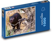Ďábel medvědovitý - zvíře, savec Puzzle 1000 - 60x46 cm