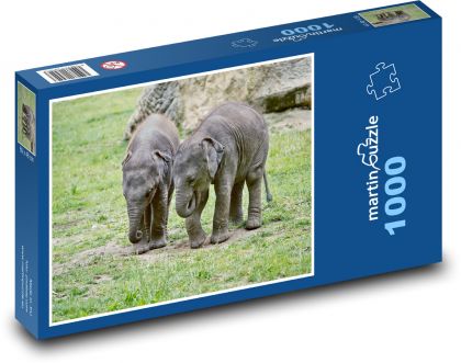 Slony - slony, mláďatá - Puzzle 1000 dielikov, rozmer 60x46 cm