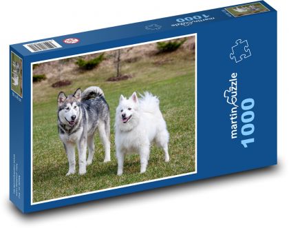 Psi - domácí mazlíčci, malamut - Puzzle 1000 dílků, rozměr 60x46 cm
