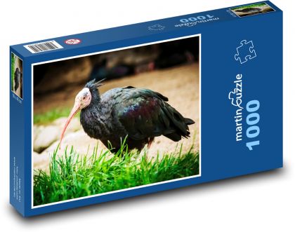 Ibis - pták, zvíře - Puzzle 1000 dílků, rozměr 60x46 cm