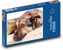 Německý ovčák - pes, zvíře Puzzle 1000 dílků - 60 x 46 cm