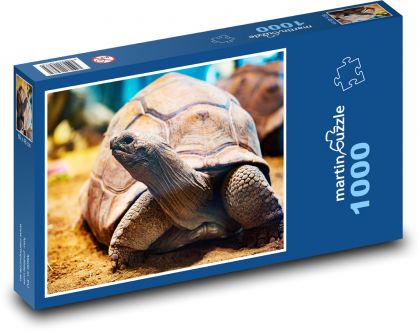 Schildkröte - Tier, Reptil - Puzzle - 1000 Teile
